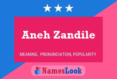 Aneh Zandile Namensposter