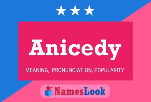 Anicedy Namensposter