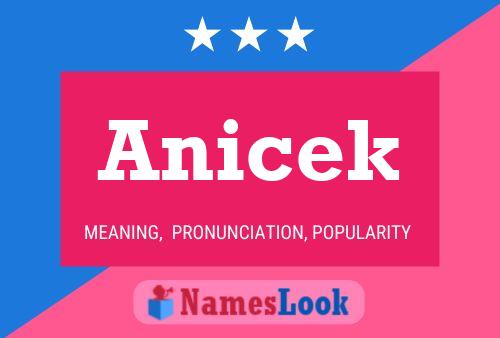 Anicek Namensposter