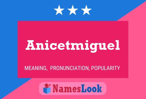 Anicetmiguel Namensposter