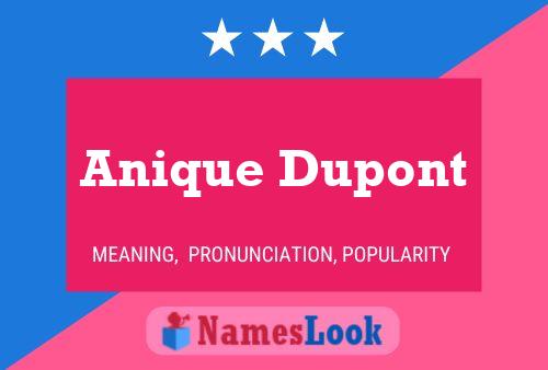 Anique Dupont Namensposter