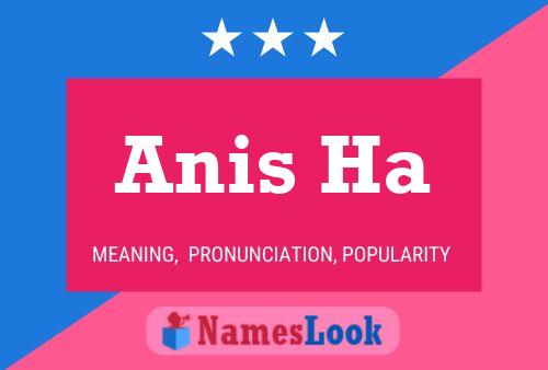 Anis Ha Namensposter