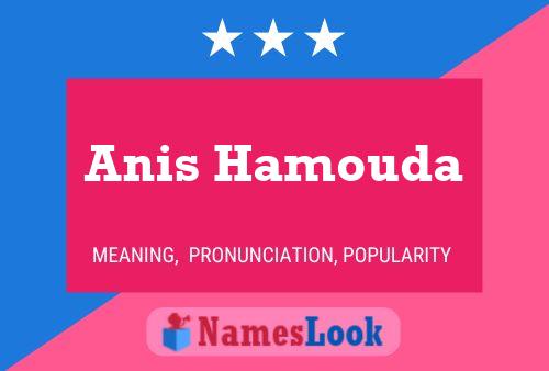 Anis Hamouda Namensposter