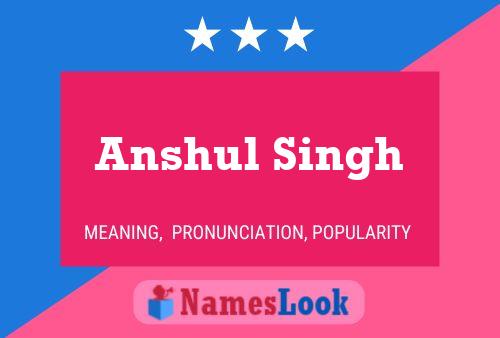 Anshul Singh Namensposter