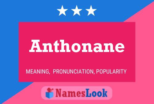 Anthonane Namensposter