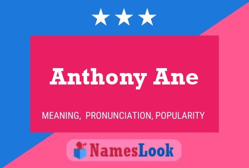 Anthony Ane Namensposter