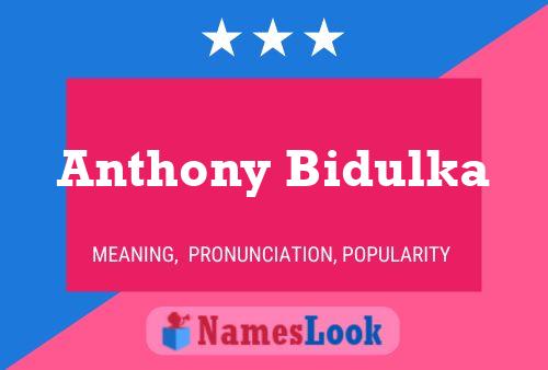 Anthony Bidulka Namensposter