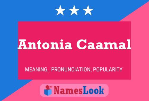 Antonia Caamal Namensposter