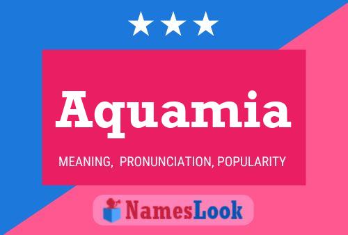 Aquamia Namensposter