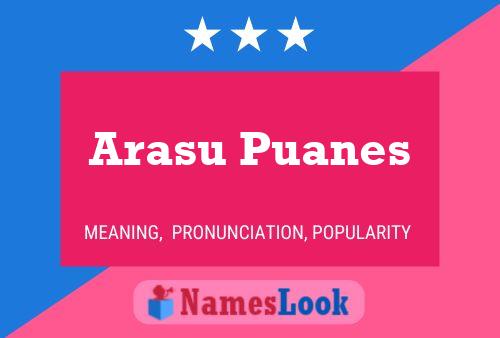 Arasu Puanes Namensposter