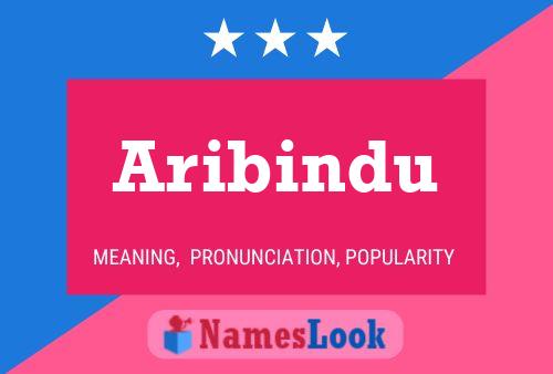 Aribindu Namensposter