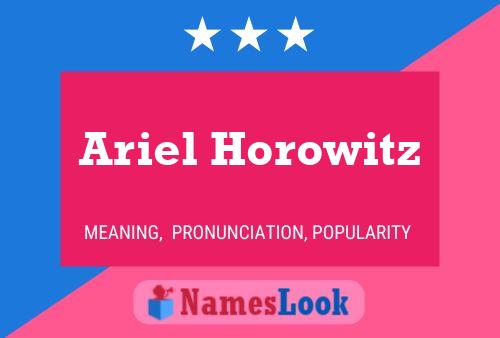 Ariel Horowitz Namensposter