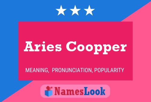 Aries Coopper Namensposter