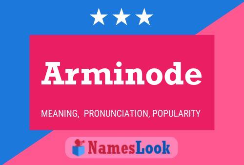 Arminode Namensposter