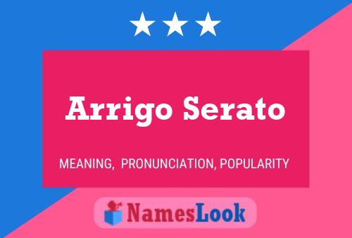 Arrigo Serato Namensposter