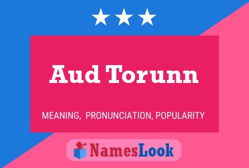 Aud Torunn Namensposter