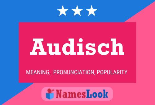 Audisch Namensposter