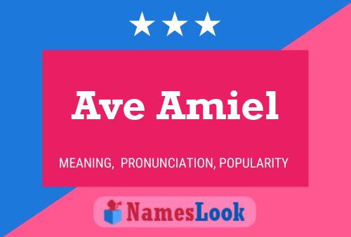 Ave Amiel Namensposter