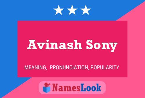 Avinash Sony Namensposter