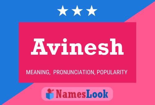 Avinesh Namensposter