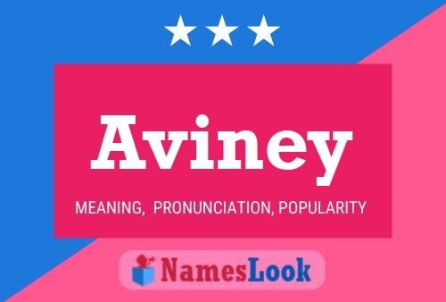 Aviney Namensposter