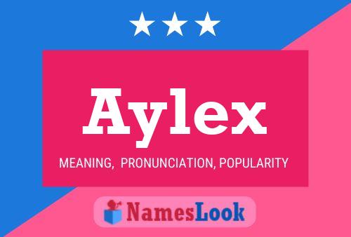 Aylex Namensposter