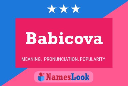 Babicova Namensposter