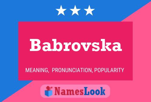 Babrovska Namensposter