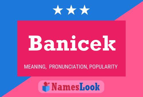 Banicek Namensposter