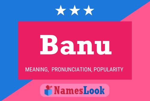 Banu Namensposter