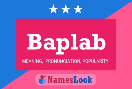 Baplab Namensposter