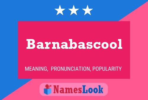 Barnabascool Namensposter