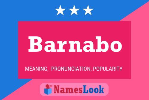 Barnabo Namensposter