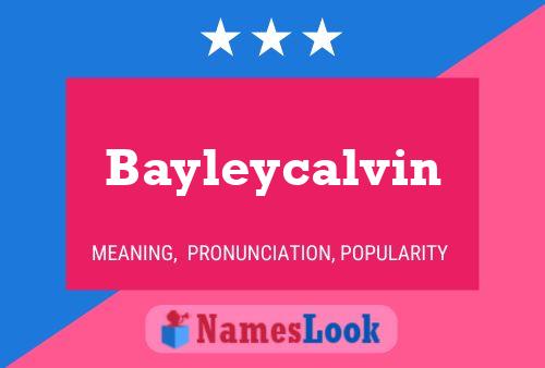 Bayleycalvin Namensposter