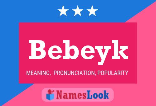 Bebeyk Namensposter