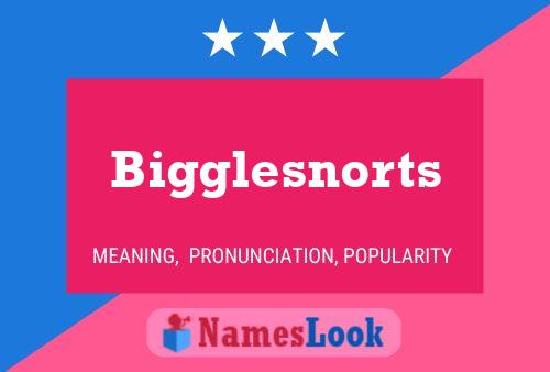 Bigglesnorts Namensposter