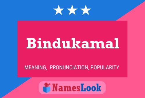 Bindukamal Namensposter