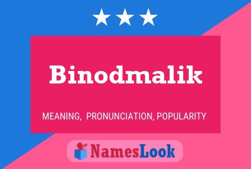 Binodmalik Namensposter