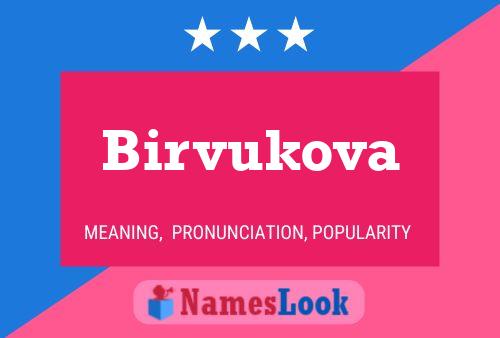 Birvukova Namensposter