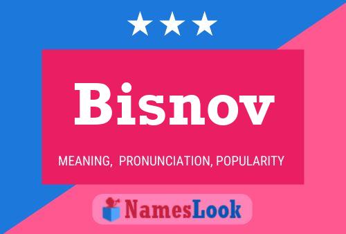 Bisnov Namensposter