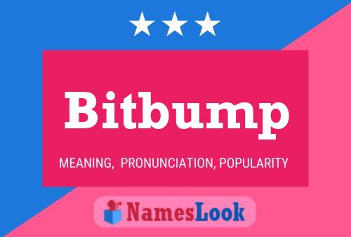 Bitbump Namensposter