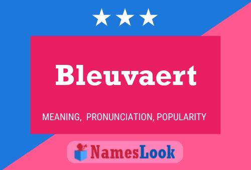 Bleuvaert Namensposter