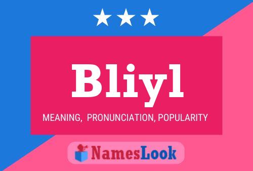 Bliyl Namensposter