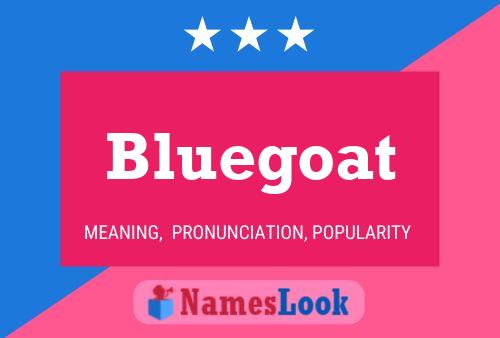 Bluegoat Namensposter