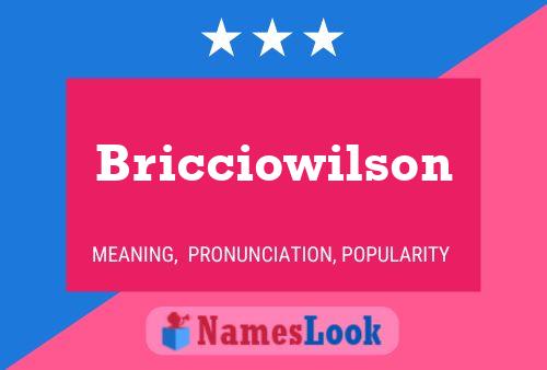 Bricciowilson Namensposter