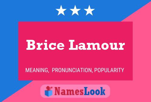 Brice Lamour Namensposter