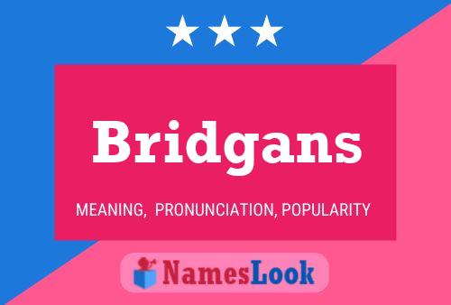 Bridgans Namensposter