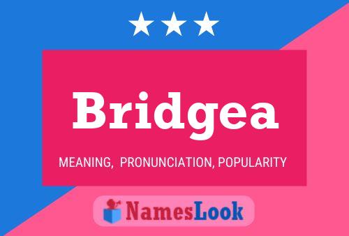 Bridgea Namensposter