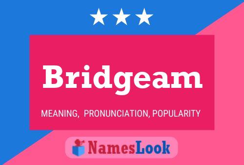 Bridgeam Namensposter