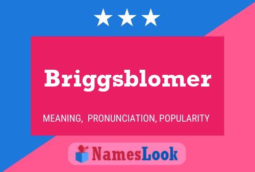 Briggsblomer Namensposter